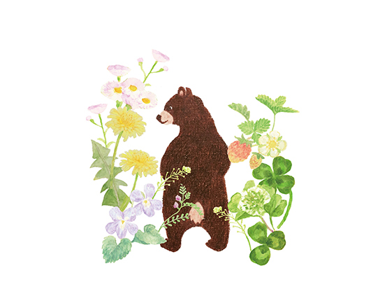 くまと野ばな　200×160mm / 色鉛筆、Photoshop