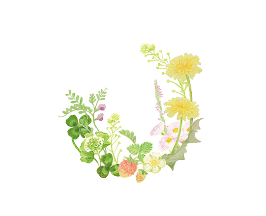 野ばな(サークル)　160×150mm / 色鉛筆、Photoshop