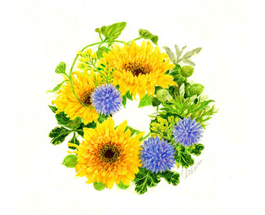 sunflower　160×150mm / 色鉛筆